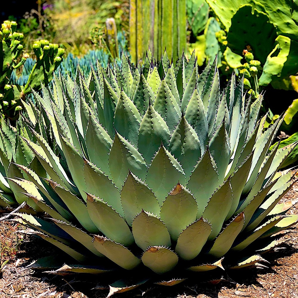 Meet your Posher, Christie